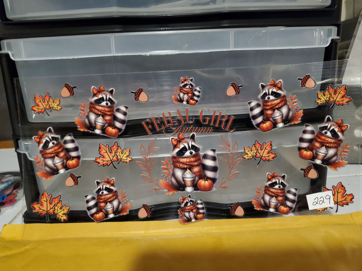 Raccoon 229