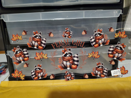 Raccoon 229
