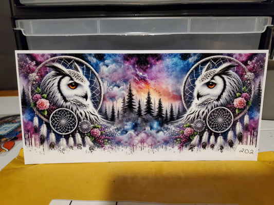 Owl 202